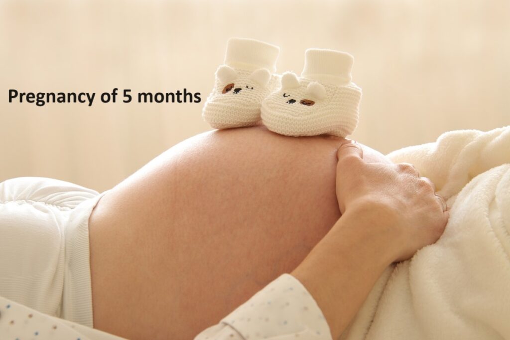 Pregnancy of 5 months