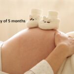 Pregnancy of 5 months