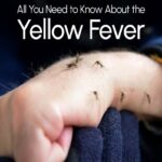 Yellow fever