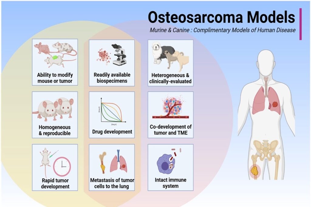 Osteosarcoma