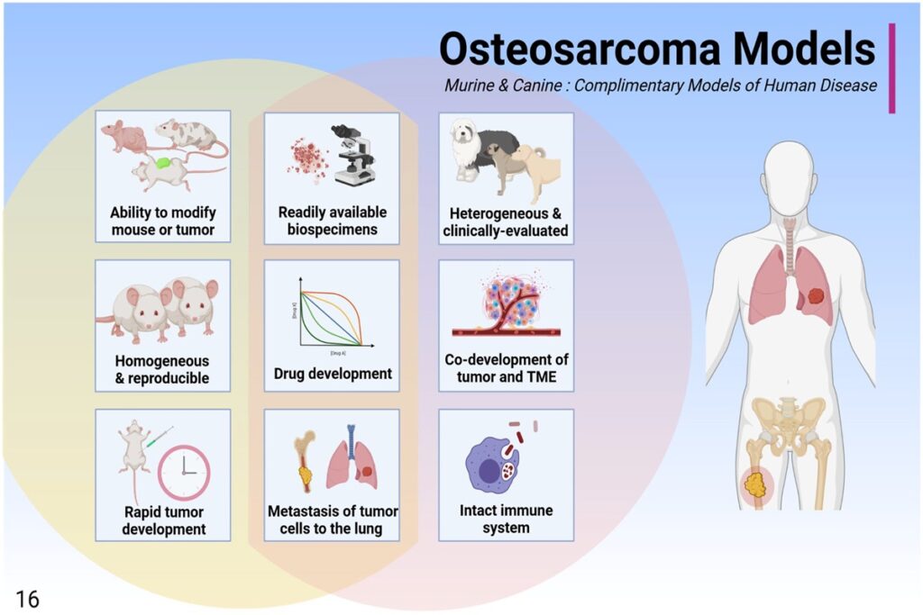 Osteosarcoma